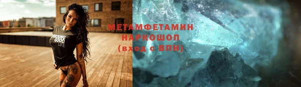 шишки Аркадак