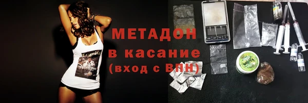 шишки Аркадак