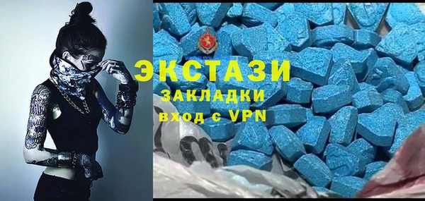 шишки Аркадак