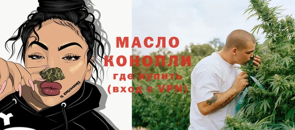 шишки Аркадак