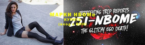 шишки Аркадак
