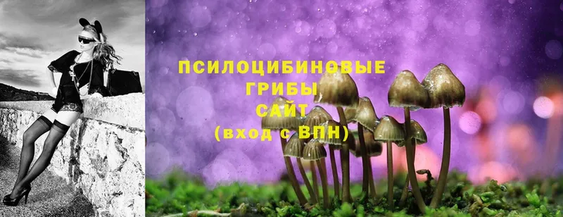 ссылка на мегу ССЫЛКА  Глазов  Псилоцибиновые грибы Magic Shrooms 