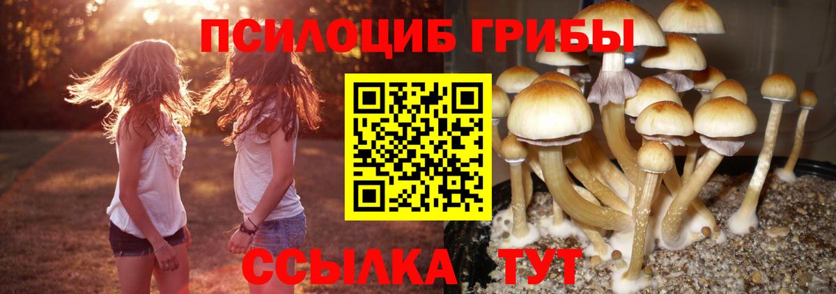 Галлюциногенные грибы ЛСД Глазов