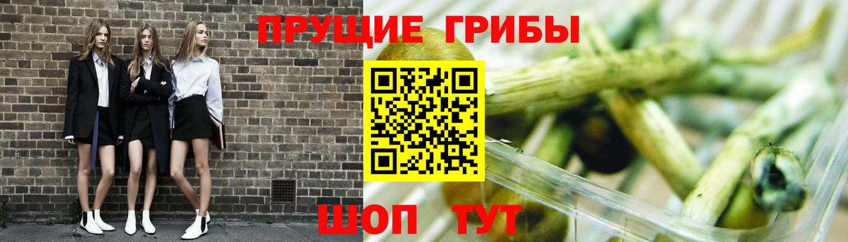 Галлюциногенные грибы ЛСД  Галлюциногенные грибы Psilocybine cubensis  Вход с VPN  Глазов 